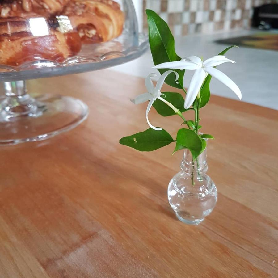 The Jasmine House Villa Preveza Ngoại thất bức ảnh